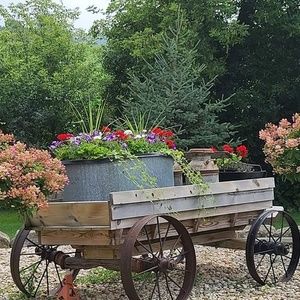 Meet your Posher, Lynette